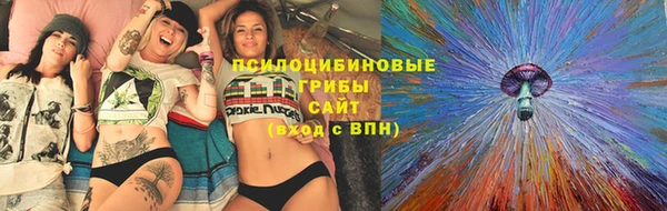 стаф Абдулино